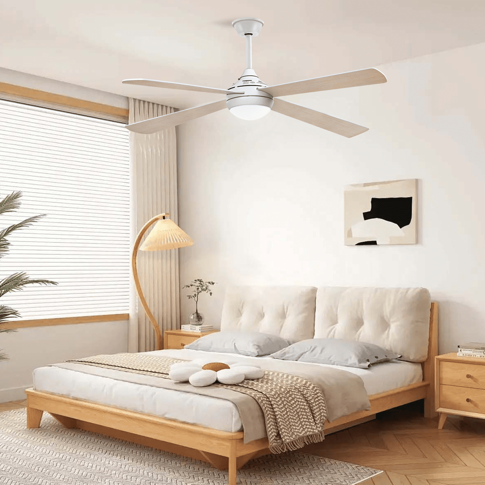 Ceiling Fan Installation